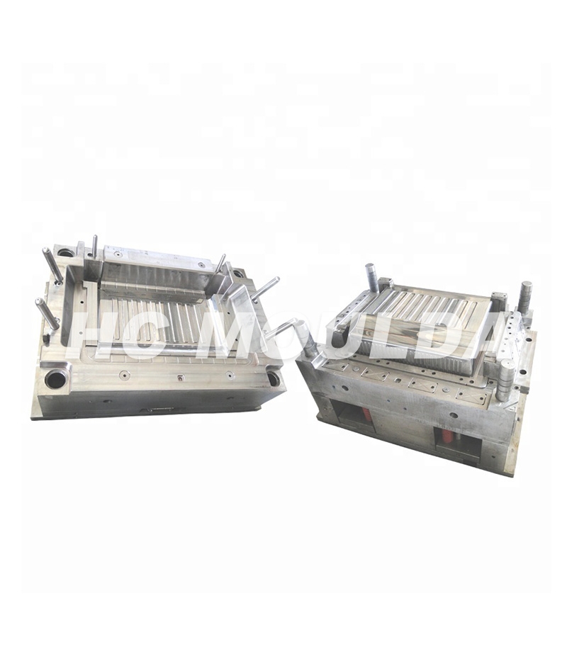 Refrigerator mould