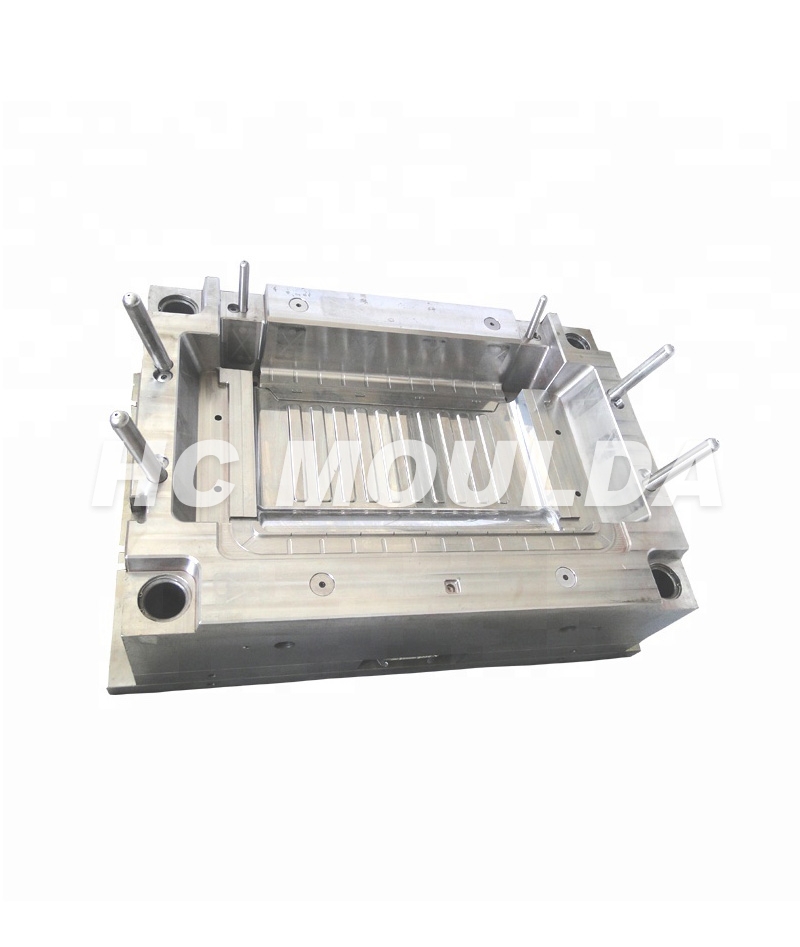 Refrigerator mould